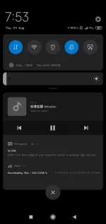 Screenshot_2019-08-29-07-53-06-456_com.miui.player.webp