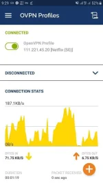 Screenshot_20190829-092932_OpenVPN Connect.webp