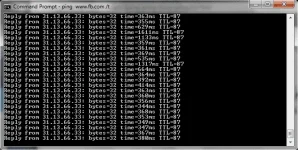 PING 2.webp