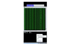 SS.webp