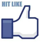 1335006776_HIT_LIKE.webp