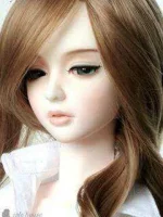 bg.webp
