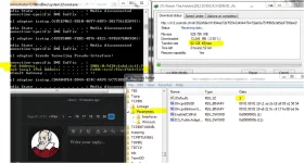 Capture.webp