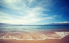 everlasting2560.webp everlasting2560.webp
