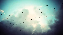 wallpaper-996797.webp wallpaper-996797.webp