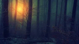 wallpaper-2501067.webp wallpaper-2501067.webp