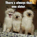 FB_IMG_1569979082217.webp