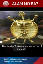 FB_IMG_1570119791294.webp