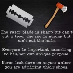 FB_IMG_1570147867199.webp