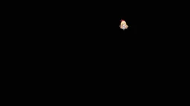 Screenshot_20191005-092242_DualSpace Lite.webp
