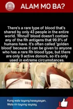 FB_IMG_1570910227630.webp