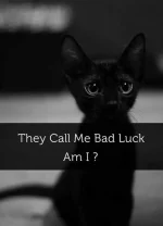 FB_IMG_1570932914268.webp FB_IMG_1570932914268.webp