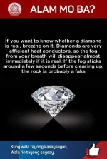 FB_IMG_1571062107405.webp