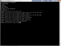 1.webp