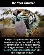 FB_IMG_1571498382768.jpg