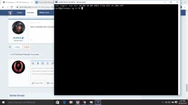 1571563906386.webp