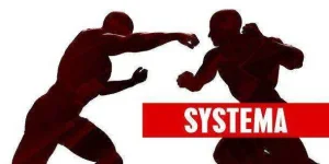 the-most-lethal-martial-arts-ever-created-14.jpg the-most-lethal-martial-arts-ever-created-14.jpg