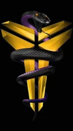 kobe_bryant-7891dff2-1cbd-39eb-b93e-93b70dd8f3cb.webp