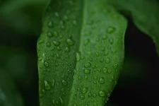 3DLUTmobile_20191030_173744.webp