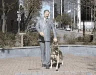 1572920421532.webp