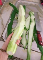 C7FCDA6D-C2F4-4D70-940B-1CCDF1D01B54.webp