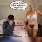 FB_IMG_1573048705304.webp