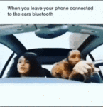 ezgif.com-optimize (4).gif