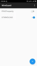 Screenshot_2019-11-15-00-45-10-935_com.wireguard.android.webp