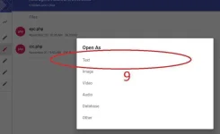 6.webp