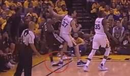 Pachulia 1.webp