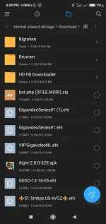 Screenshot_2019-11-24-18-28-13-923_com.mi.android.globalFileexplorer.webp