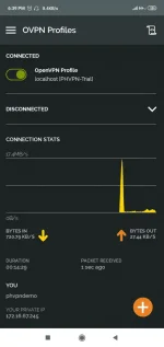 Screenshot_2019-11-24-18-39-17-827_net.openvpn.openvpn.webp