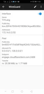 Screenshot_20191128_230201_com.wireguard.android.webp