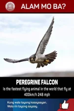 FB_IMG_1577488181799.jpg