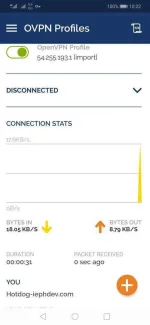 Screenshot_20200101_222258_net.openvpn.openvpn.webp
