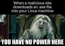 1741885_root.webp
