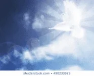 1579578046660.webp