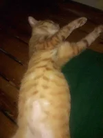 20191230_164620.webp