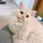 mff2hg7w91d41.webp