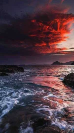 8EE97767-8CF9-4853-8BB7-3FCD290EEFC1.webp