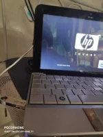 1582424798272..webp