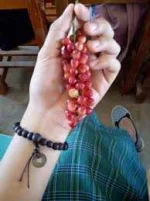 images.webp