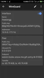Screenshot_2020-03-08-19-44-00-046_com.wireguard.android.webp