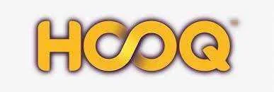1796724_hoog_logo.webp