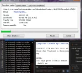 wild.webp