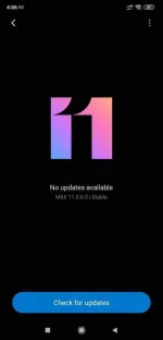 Screenshot_2020-03-14-04-06-24-097_com.android.updater.webp