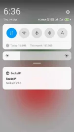 Screenshot_2020-03-19-18-36-30-755_com.newtoolsworks.sockstunnel.webp