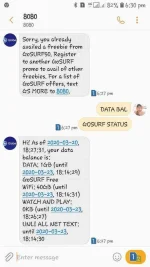 Screenshot_20200320-183032_Messages.webp