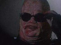Butterball.webp