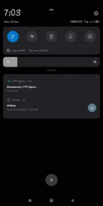 Screenshot_2020-03-23-07-03-21-352_com.android.systemui.webp